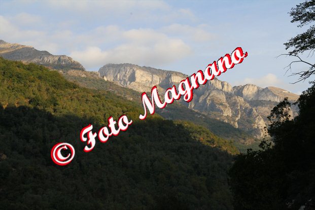 709.jpg
